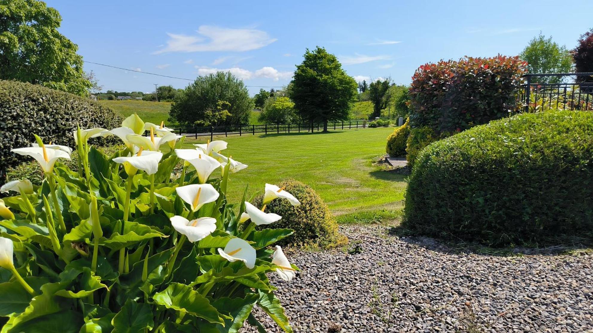Swinford Country House Eksteriør bilde